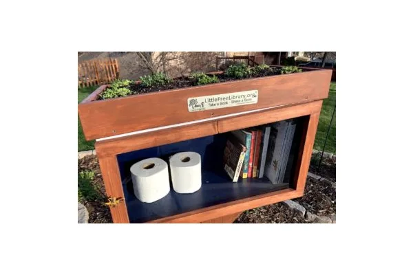 How I Built a Little Free Library During the Pandemic