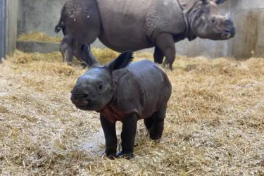 Reasons to Love Denver: Our Entertainers