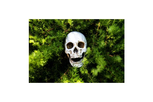 What to Do When You Find Bones (and Other Stuff) in Your Backyard
