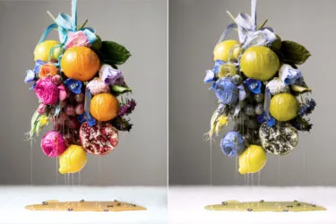 MCA Denver Provides Color-Blind Visitors With a New Way to View Art