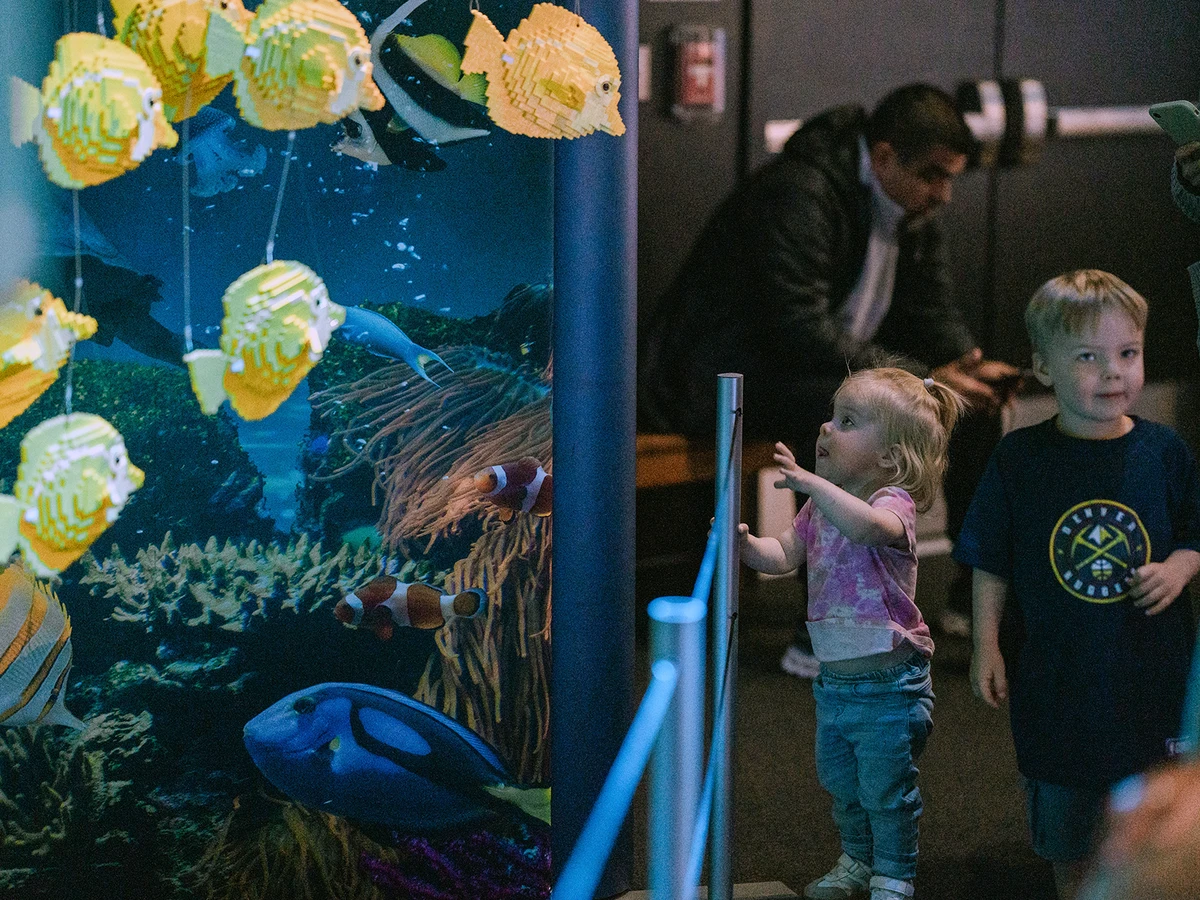 A little girl points at a Lego display of fish at Brick Planet in Denver