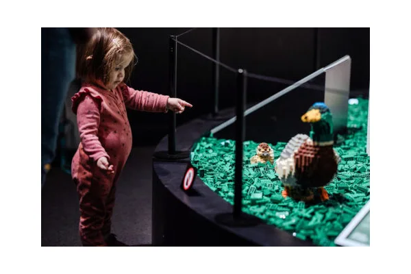 What To Expect at the Denver Museum of Nature and Science’s New  Exhibition