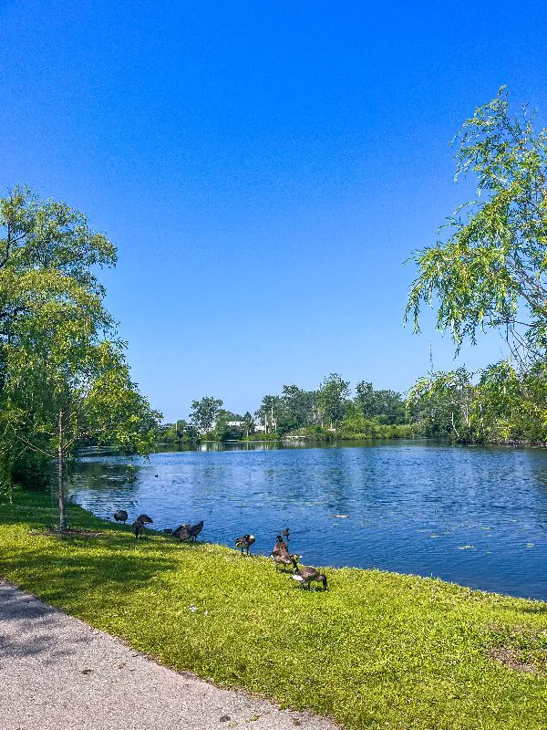 Best Things To Do On Toronto Islands