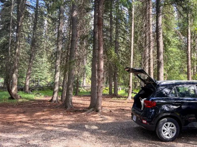 Whistlers Campground In Jasper: Review And Details