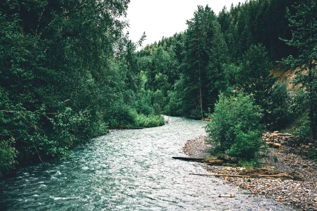 Is Golden BC Worth Visiting? A Mini Guide