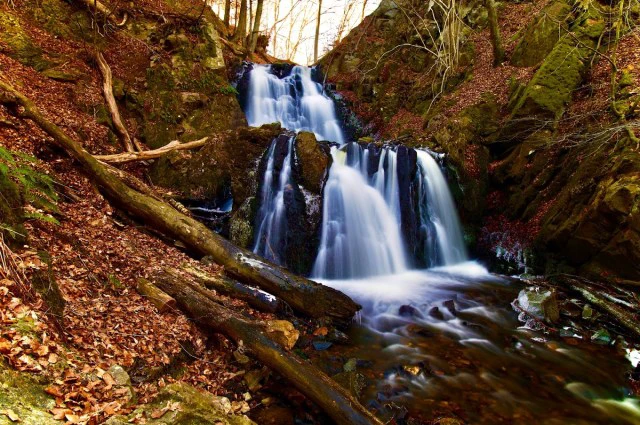 The Best Copenhagen To Sweden Day Trip For Nature Lovers