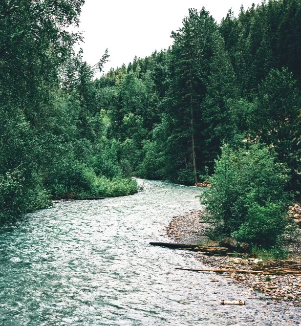 Is Golden BC Worth Visiting? A Mini Guide