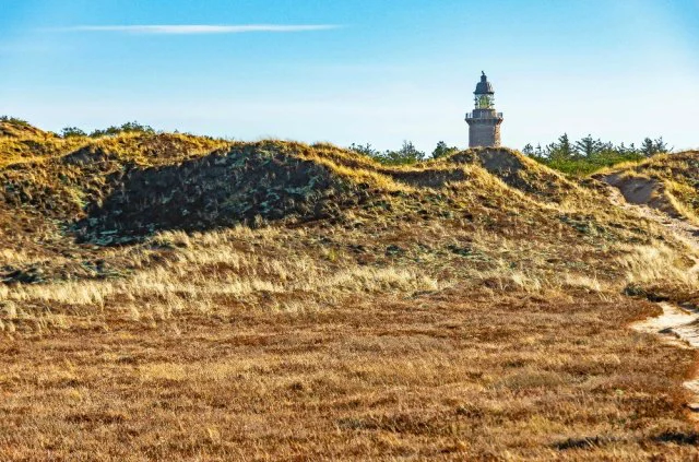 The Best Places To Visit In Denmark: Thy National Park