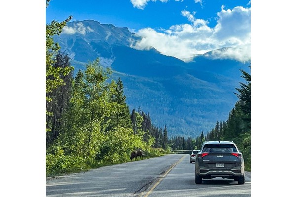 How To Plan A Roadtrip: A Step By Step Guide