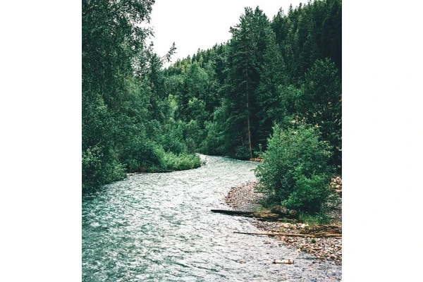 Is Golden BC Worth Visiting? A Mini Guide