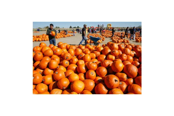 10 Free Things to Do in Colorado This October