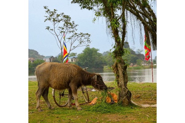Backpacking Vietnam North To South: 10 Bucketlist Places To Visit