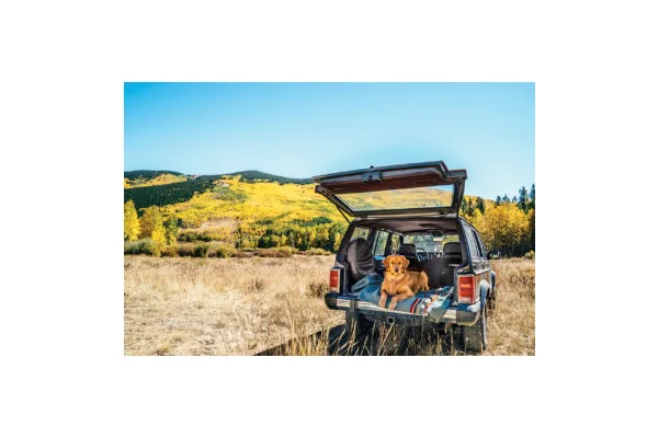 8 Things You Might Not Know About Pet Ownership in Colorado