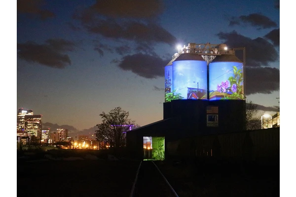 This Art Installation Is a Walking Tour of RiNo