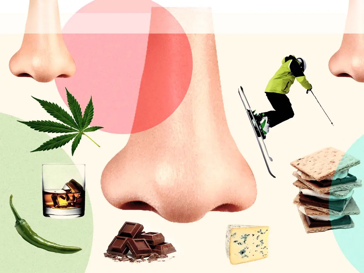 What Scents Remind You of Being Home for the Holidays?