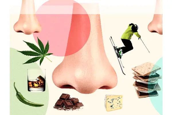 What Scents Remind You of Being Home for the Holidays?