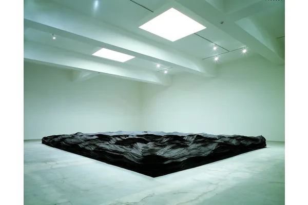 Nothing Is as It Seems in Tara Donovan’s , Now Open at MCA Denver