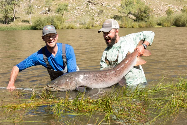 Can the Fishing Community Save the World’s Biggest Trout?