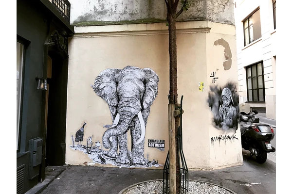 Crush Walls Murals Focus on the Importance of Wildlife Conservation