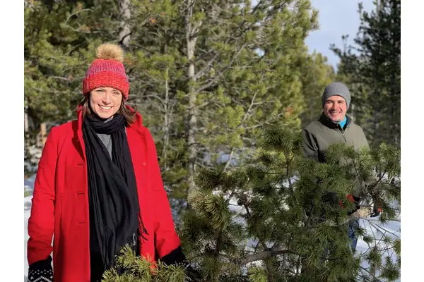 Where to Cut Your Own Christmas Tree in the Wild (Legally)