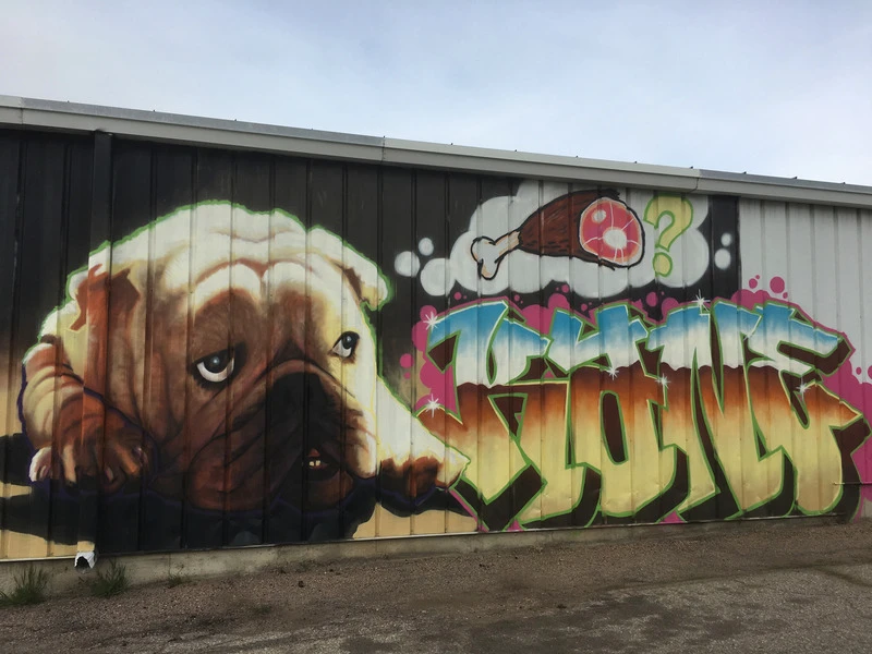 Dog thinking about a bone