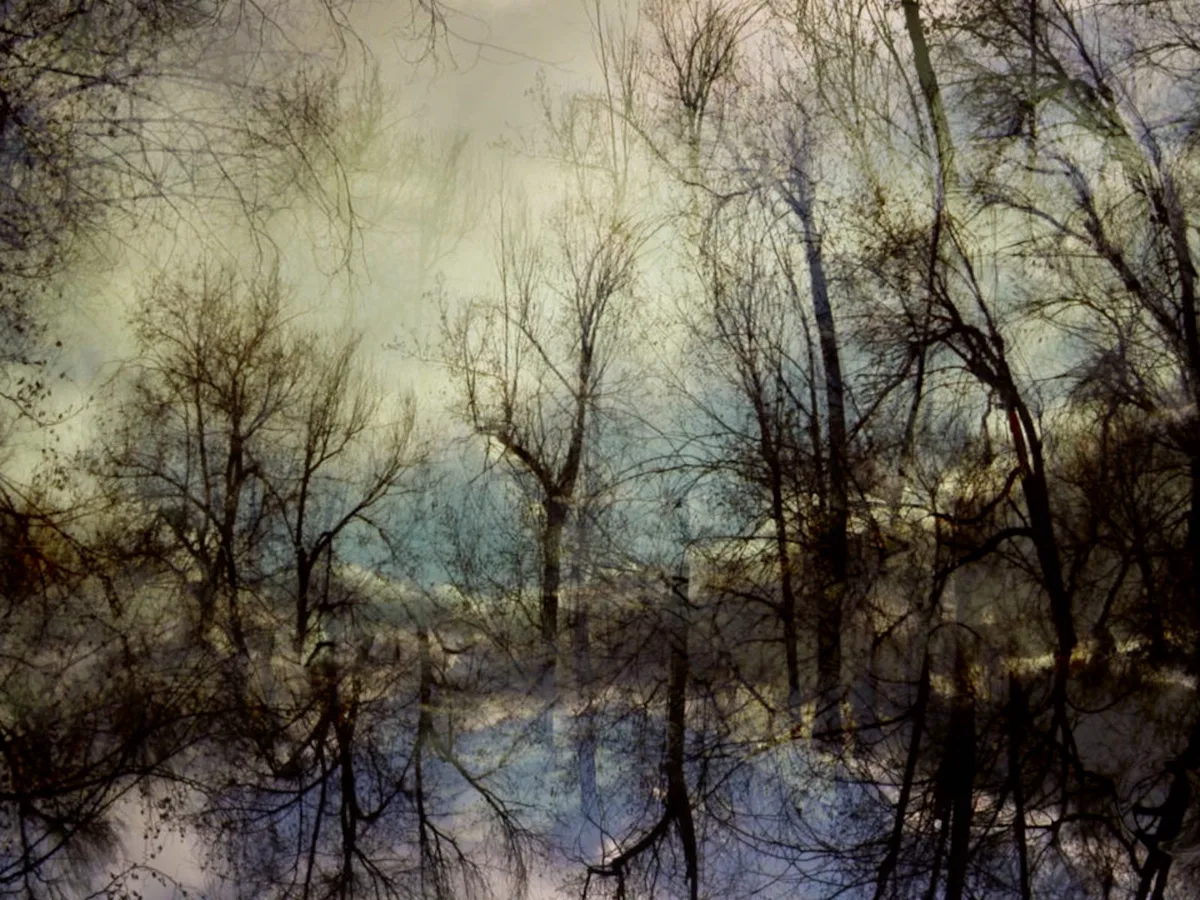 This Denver Artist is Raising Awareness for Multiple Sclerosis