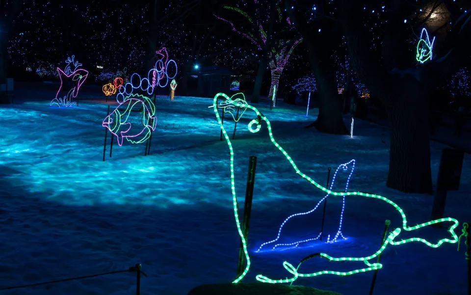 Zoo Lights