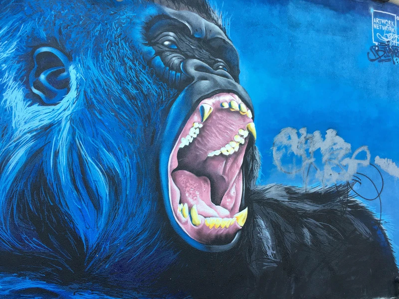 Lincoln Park Gorilla
