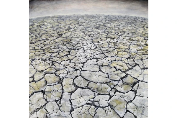 MCA Denver’s Winter Exhibits Feature Two Denver Artists
