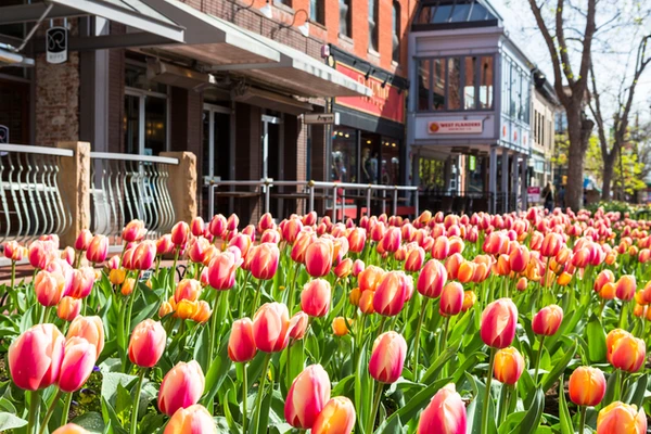 Boulder’s Unofficial (But Awesome) Art Scene