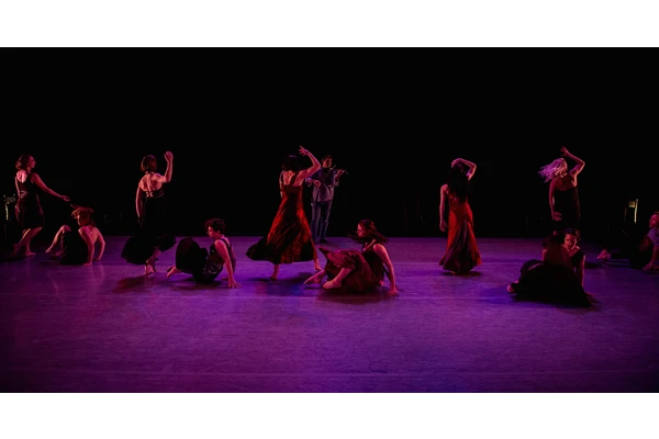 Do You Know 3rd Law Dance/Theater? If Not, You Should.