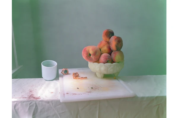 Meet the Artist: Laura Letinsky