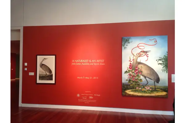Best Bets: “Birds of America” Exhibit