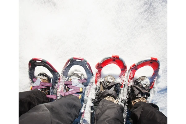 10 (Mostly) Free Things To Do: December Edition