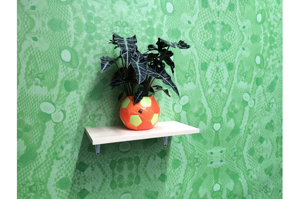 Peek Inside MCA’s Biennial of the Americas Exhibit