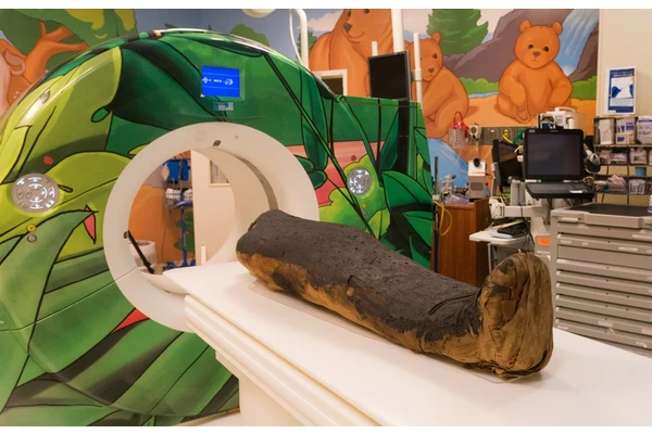 A Tale of Two Mummies