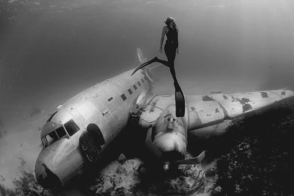 New Documentary Series Seeks to Teach Colorado Kids—and Adults—About the Ocean