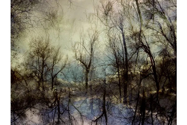 This Denver Artist is Raising Awareness for Multiple Sclerosis