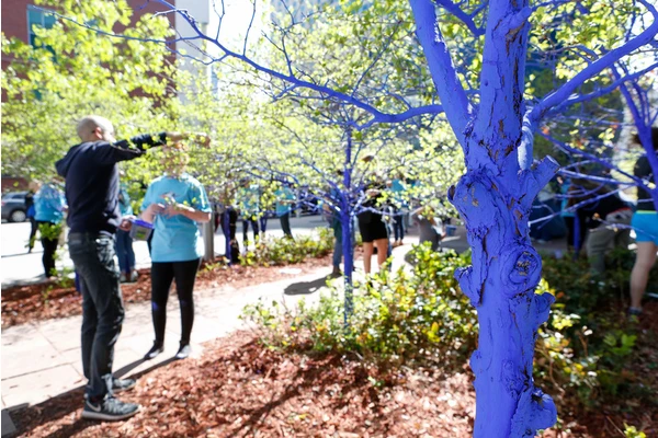 Downtown Denver’s Trees Are Turning Blue—For Good Reason