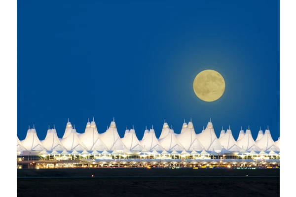 Rant & Rave: DIA and Wilson Harwood