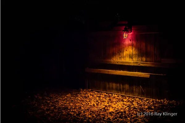 Embrace the Spookiest Time of Year with These 7 Freaky Events