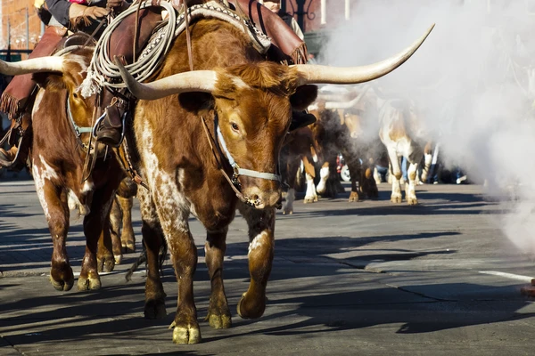 10 (Mostly) Free Things to Do: January 2015 Edition