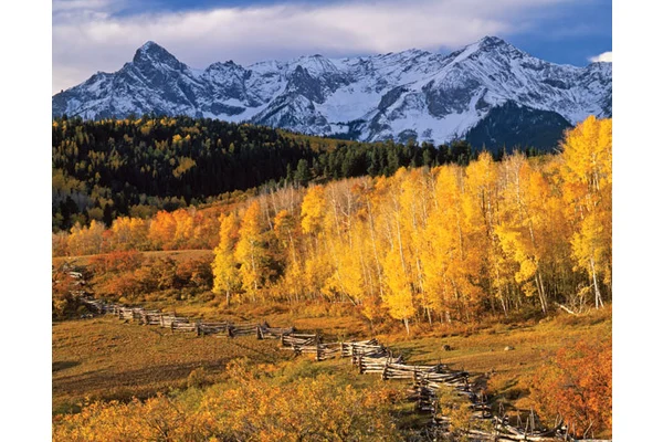Fall Á La Fielder