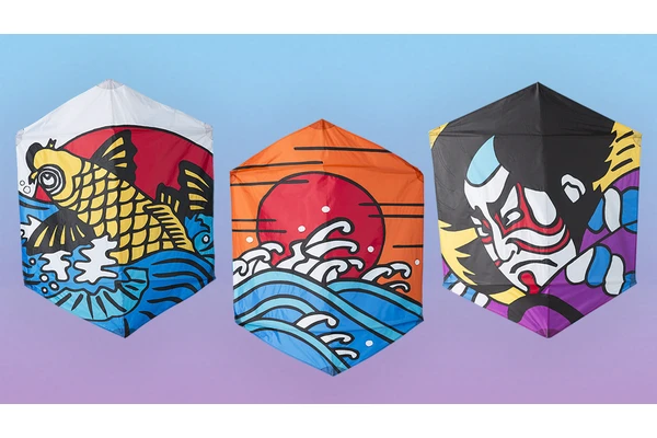 Go Fly A Kite
