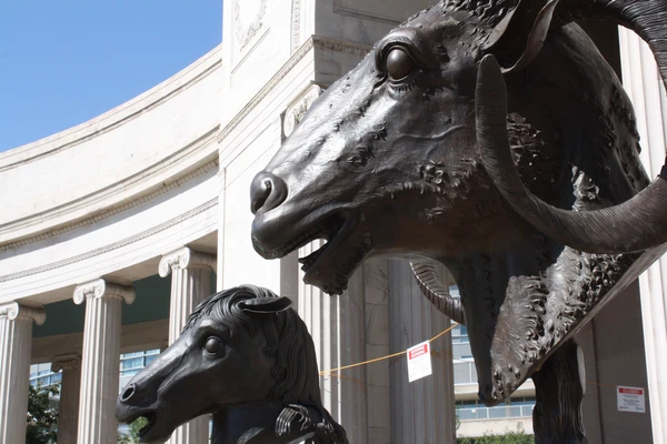 Denver Hosts the Work of Legendary Chinese Artist, Ai Weiwei