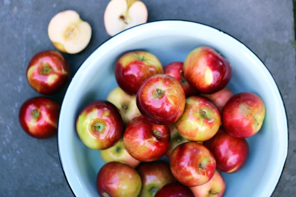 10 (Mostly) Free Things To Do: October Edition