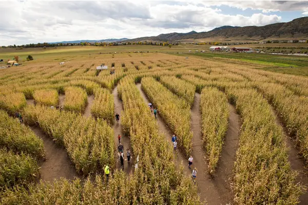 Things to Do in October That Won’t Break the Bank