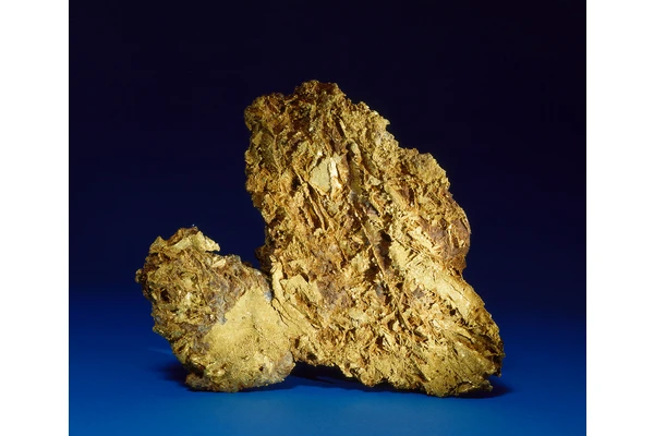 Only in Colorado: Tom’s Baby