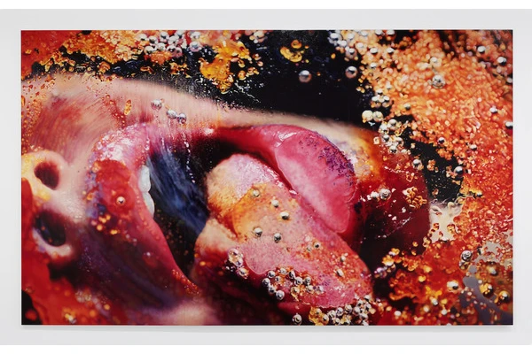 Marilyn Minter’s “Pretty/Dirty” Opens at MCA Denver