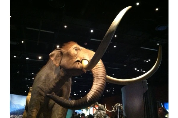 Best Bets: Mammoths and Mastodons: Titans of the Ice Age